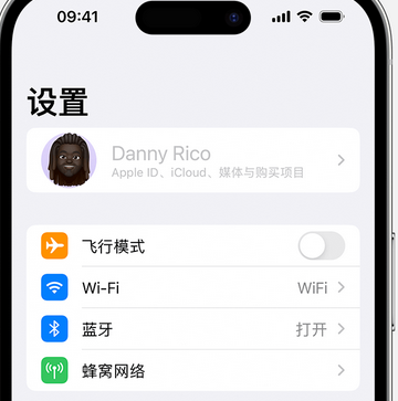 将乐appleID维修服务iPhone设置中Apple ID显示为灰色无法使用