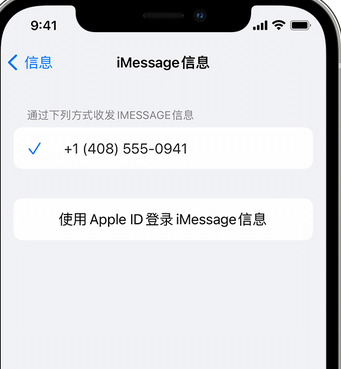 将乐apple维修iPhone上无法正常发送iMessage信息