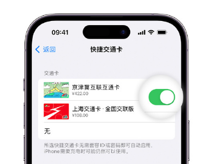 将乐apple维修点分享iPhone上更换Apple Pay快捷交通卡手绘卡面 