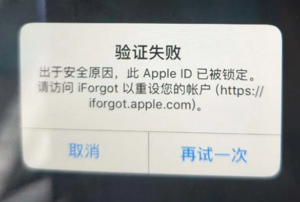 将乐iPhone维修分享iPhone上正常登录或使用AppleID怎么办 