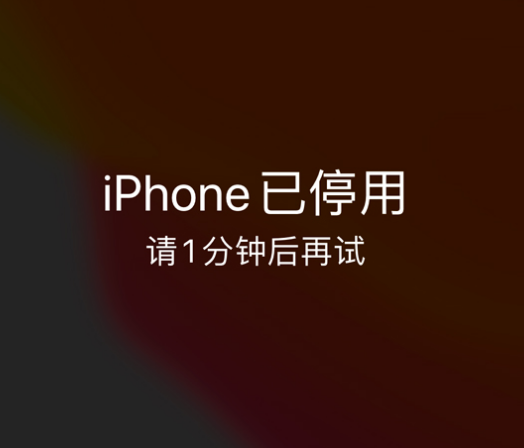 将乐苹果手机维修分享:iPhone 显示“不可用”或“已停用”怎么办？还能保留数据吗？ 