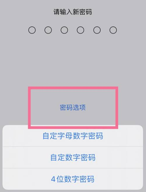 将乐苹果14维修分享iPhone 14plus设置密码的方法 