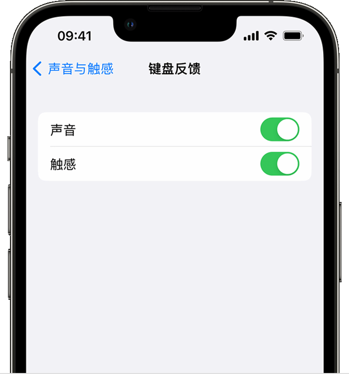 将乐苹果14维修分享iPhone 14 系列机型如何开启键盘声音或触感反馈 