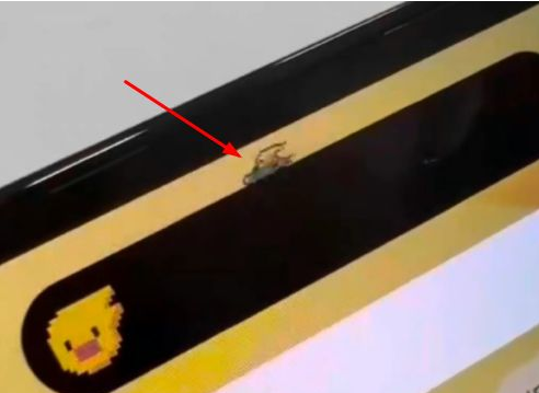 将乐苹果14维修分享iPhone 14 Pro Max灵动岛怎么养宠物 