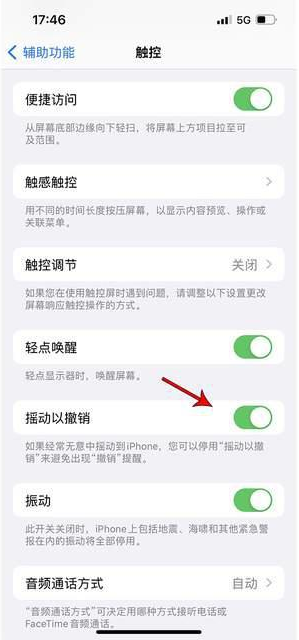 将乐苹果手机维修分享iPhone手机如何设置摇一摇删除文字 