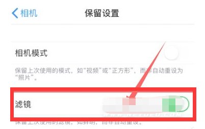 将乐苹果13维修分享iPhone13拍照有绿点是怎么回事 