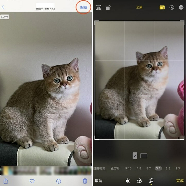 将乐苹果手机维修分享苹果 iPhone 12 Pro 拍照会过度锐化 