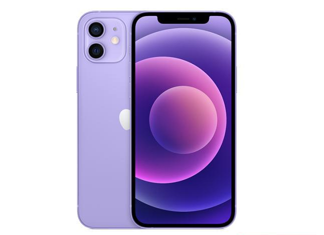 将乐苹果手机维修分享现阶段要不要入手紫色版iPhone12 